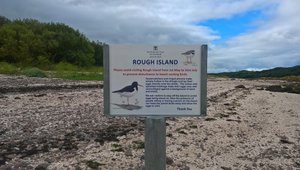 Rough Island at Rockcliffe