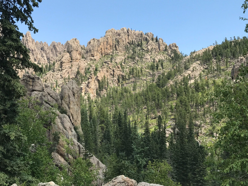 Rock Formations on the Needles Highway