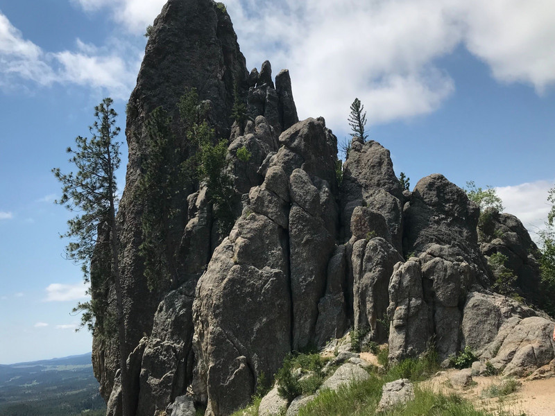 Rock Formations on the Needles Highway