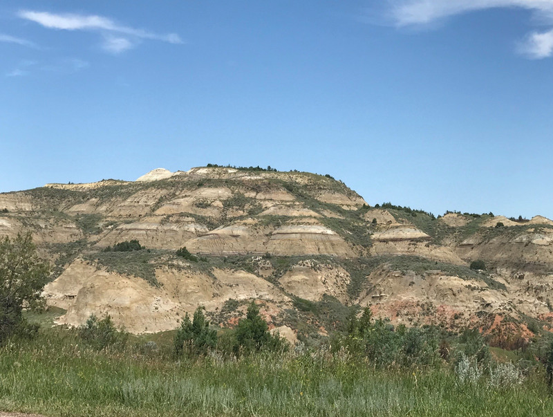View in Theodore Roosevelt National Park 9