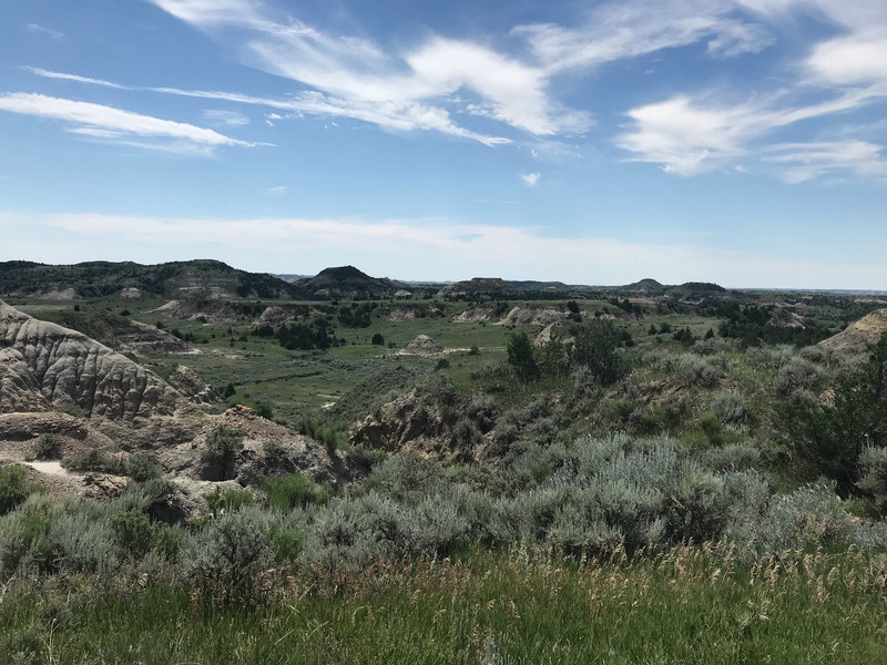 View in Theodore Roosevelt National Park 10