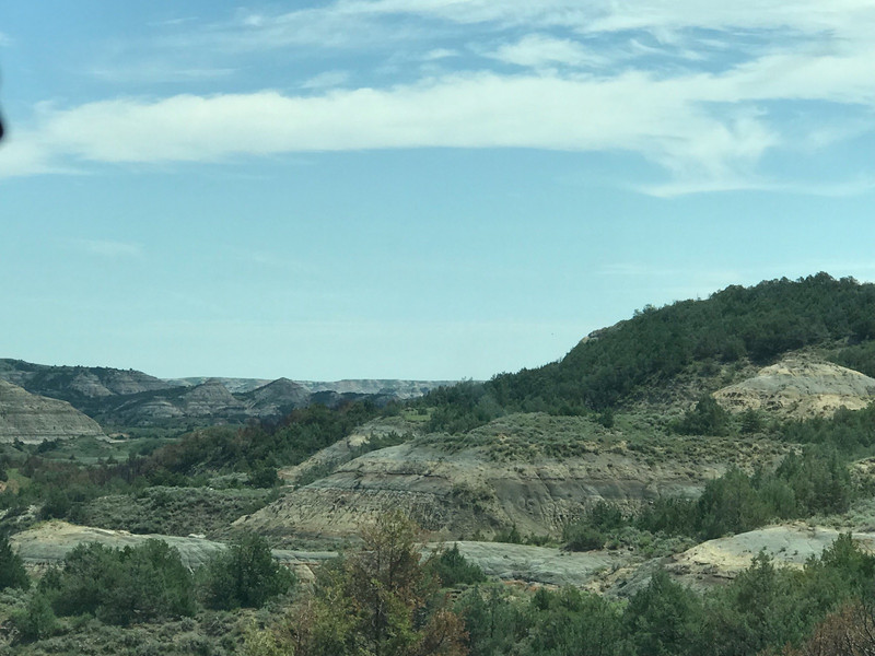 View in Theodore Roosevelt National Park 11