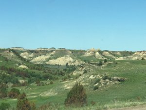 View in Theodore Roosevelt National Park 15