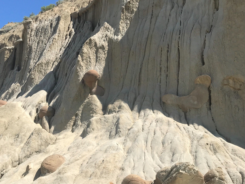 Cannonball Concretions in wall of Badland formation