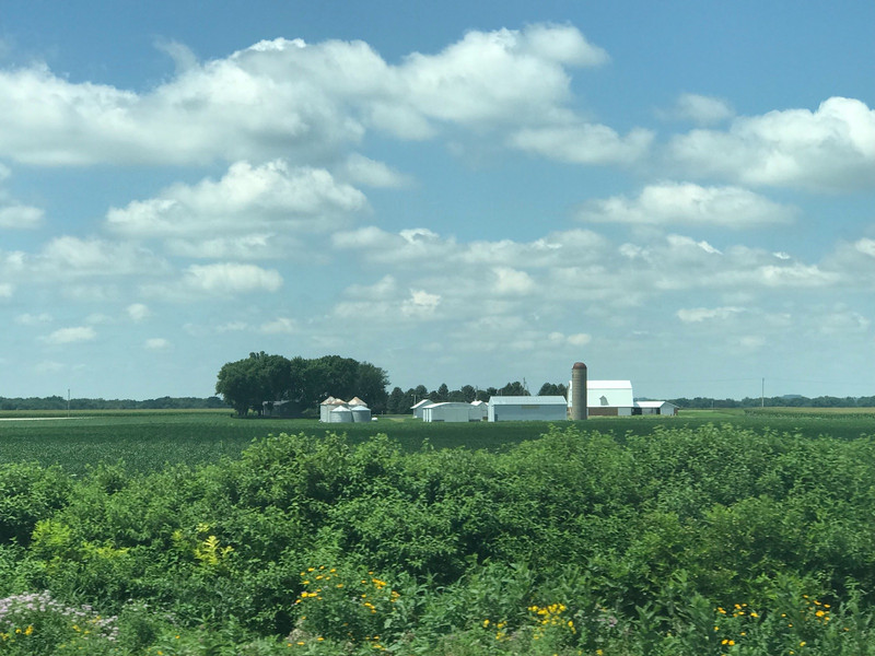 Farm scene in Iowa