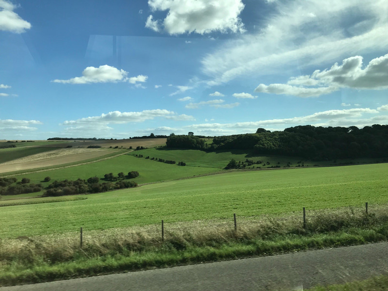 Roadside view in Devon 