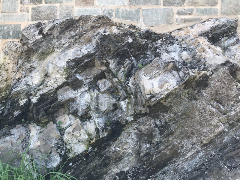 This type of rock is what Quebec City is built on.