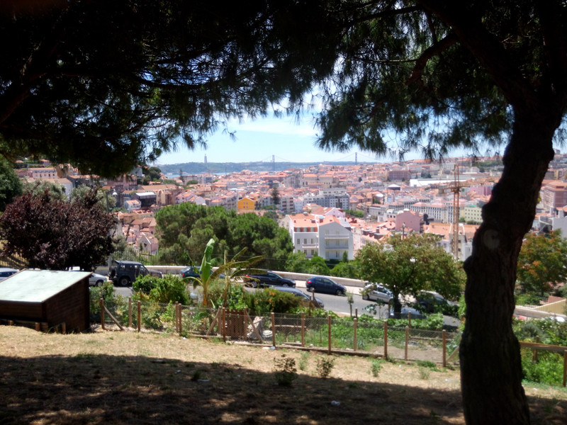 Lisbon Top View