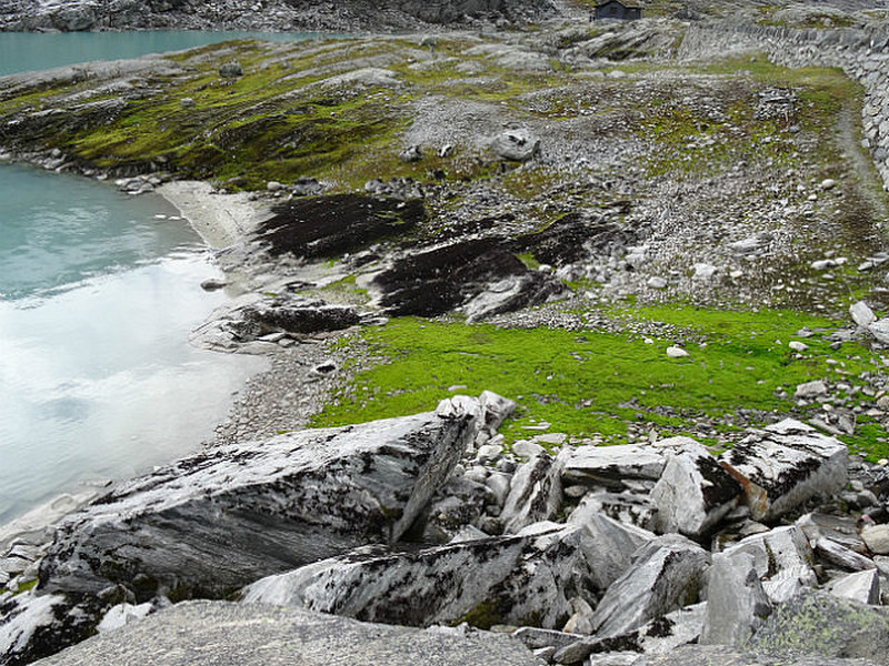 Algae Growing Along Glacier Pond