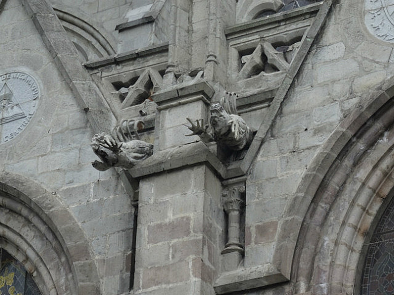 Gallapogos Iguana Gargoyles on Cathedral in Quito