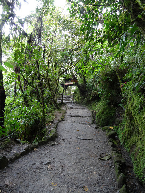 The Path to El Diablo Falls