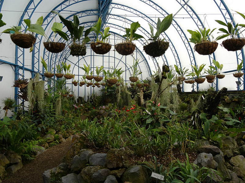 One of the Orchid Houses