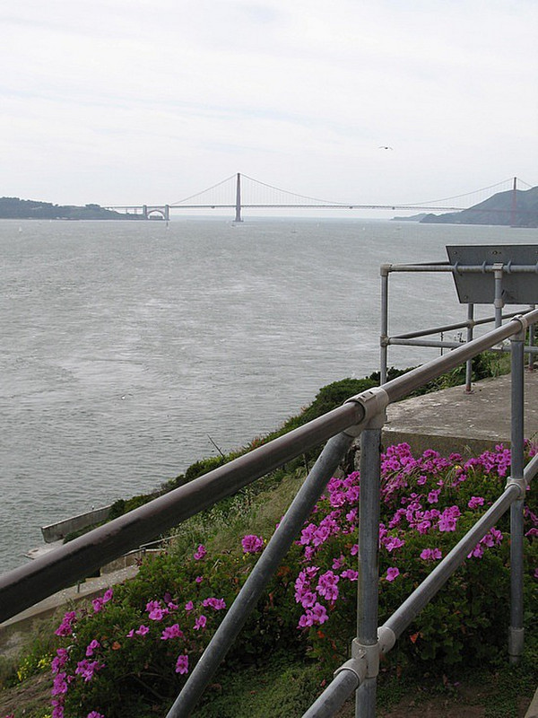 View Back to San Francisco from Alcatraz
