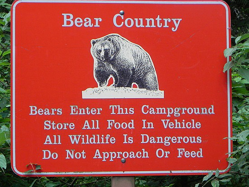 Bear Country!