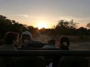 Sunrise during the morning safari
