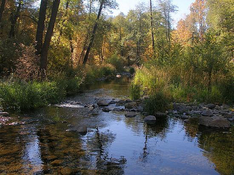 Oak creek 
