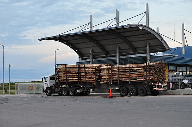 Trucks Loaded With Logs