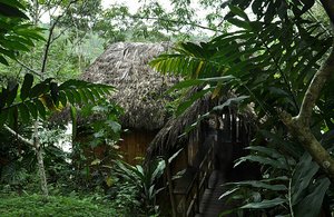 Our cabana in the jungle