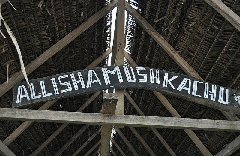 Allishamushkachu