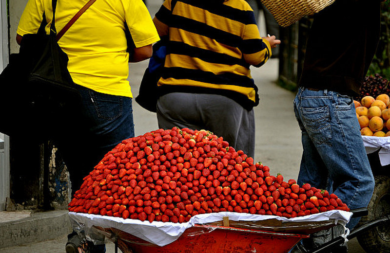 Wheelbarrow of strawberries