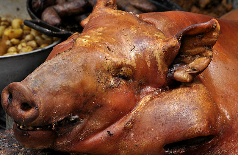 Head of roasted pig