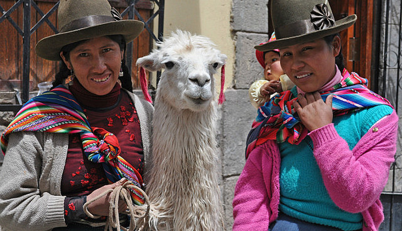 Local ladies with llama