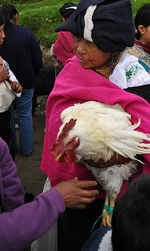 Lady with hen