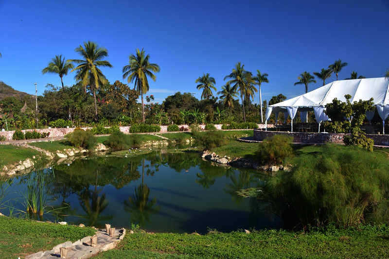 Pond with lily pads and large event tent