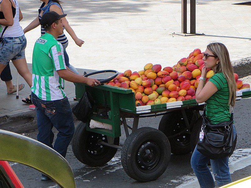 Cart of papaya 