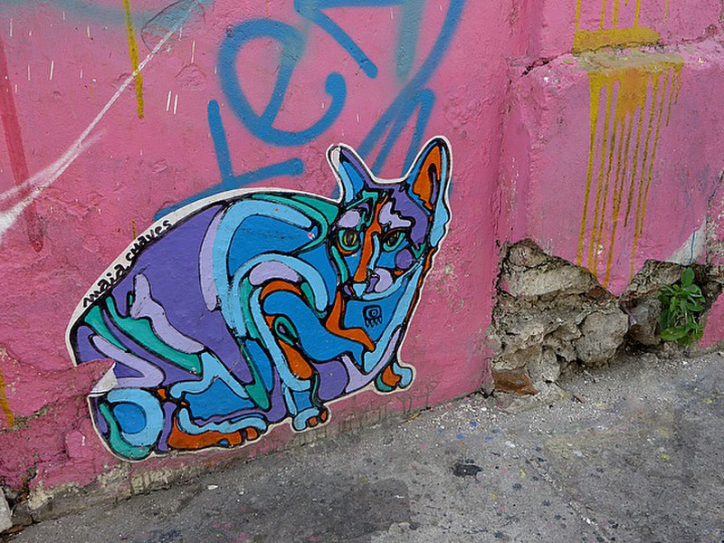 Cat on a wall