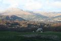 Near Hawkshead, looking to Ambleside