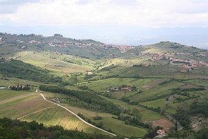 Tuscan hills,near Florence