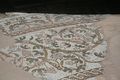 Old mosaics, recently rediscovered!