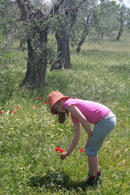 Georgia, picking poppies in an olive grove