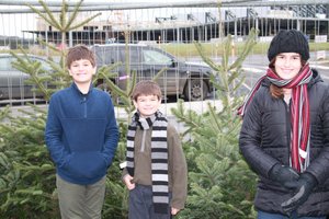 Buying a live Christmas tree in Luxembourg