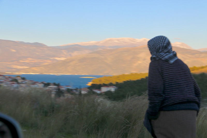 Shepherdess on the road to Delphi