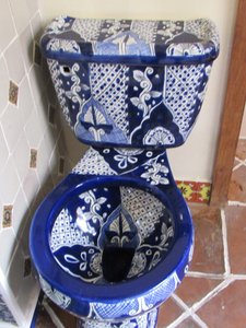 How about this Toilet?