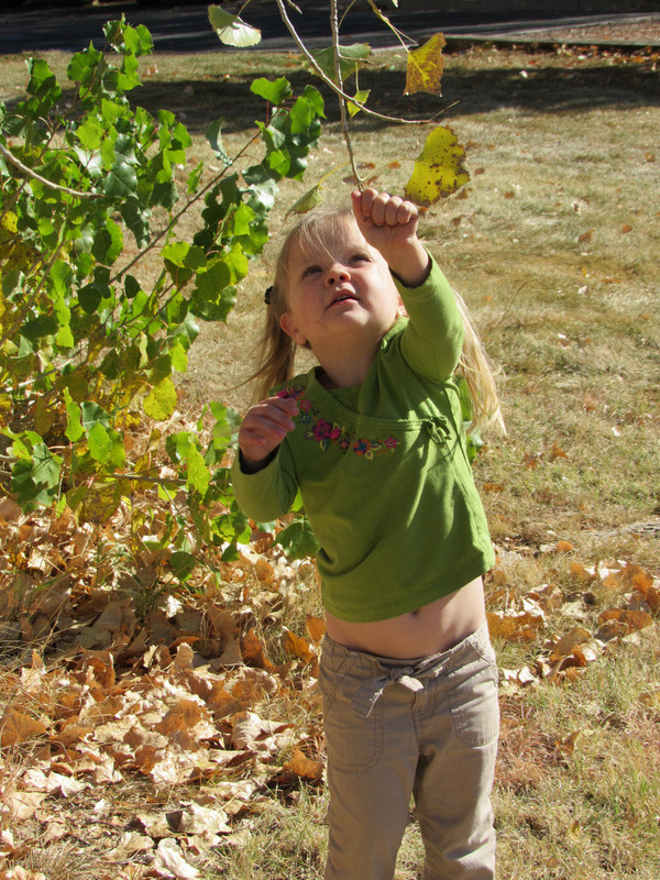 Emily picking off the leaves