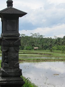 Each Rice Fields has its own temple