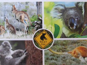 Postcard - Annimals in Australia