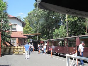 Train Puffing Billy