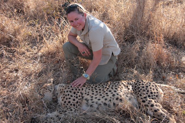 me with the darted cheetah