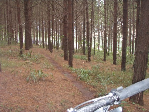 mankele bike trail