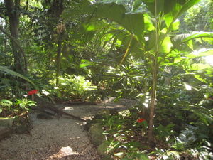 Tropical Spice Gardens