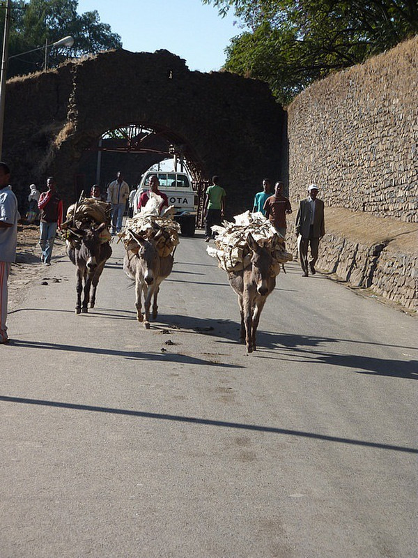 Gondar street scenes