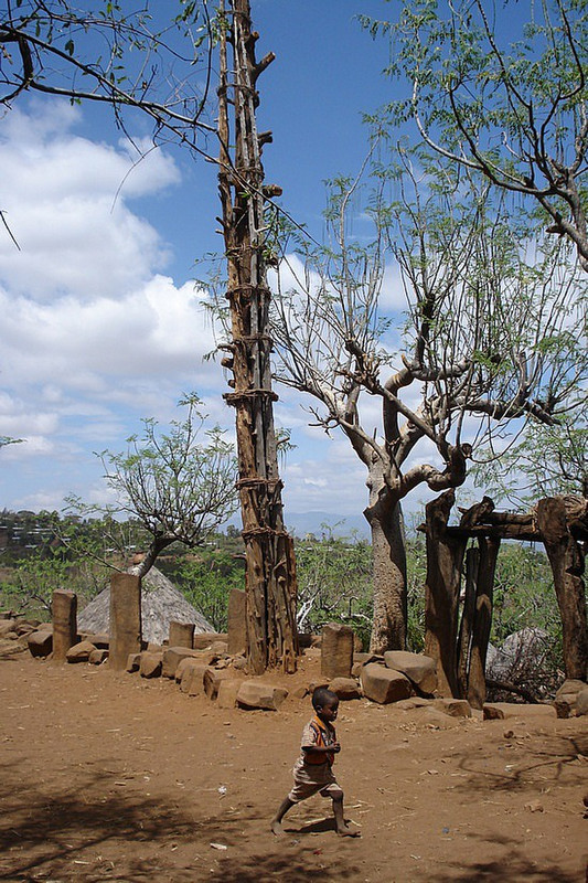 Konso village- generation pole