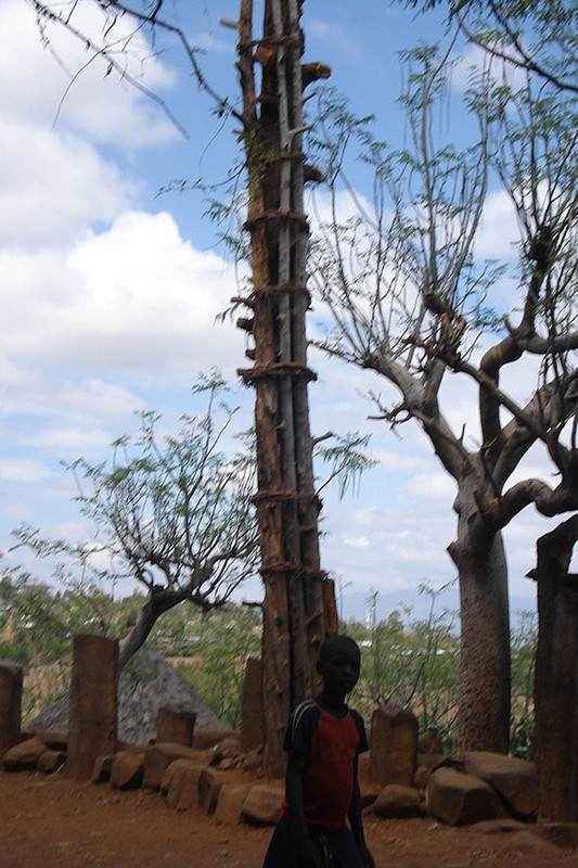 Konso village-generation pole