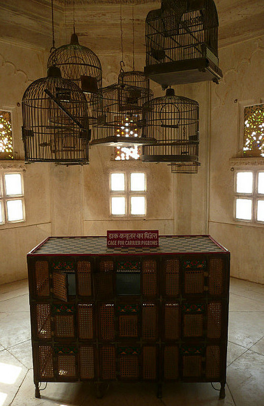 Carrier pigeon cages