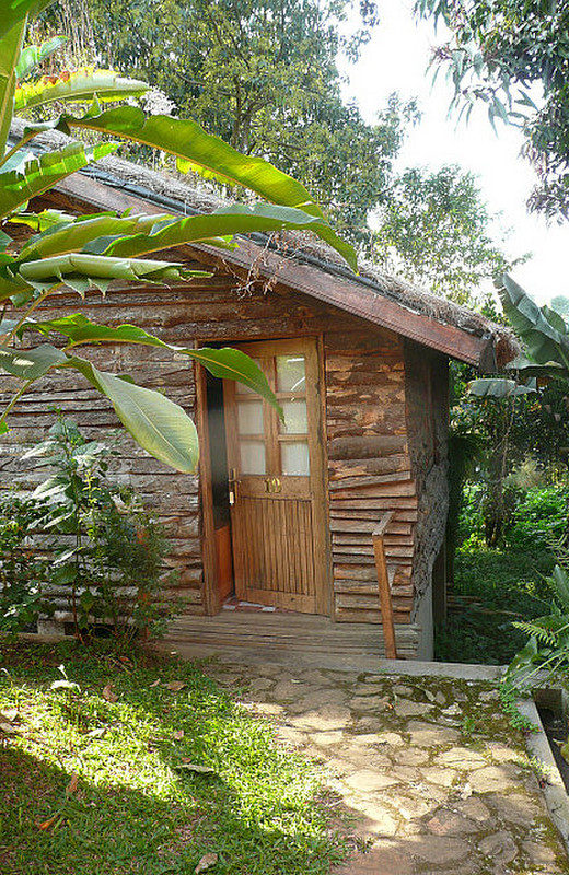 Rwenzori View Guest House - cabin