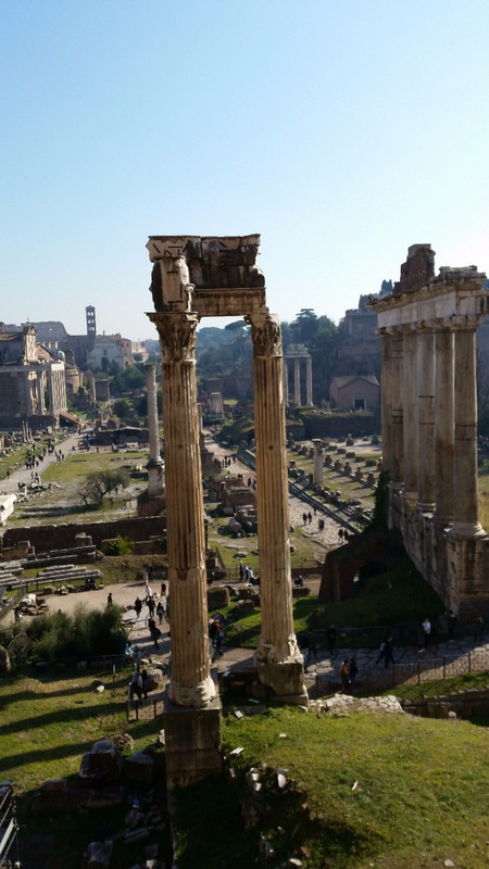 Views of the Forum